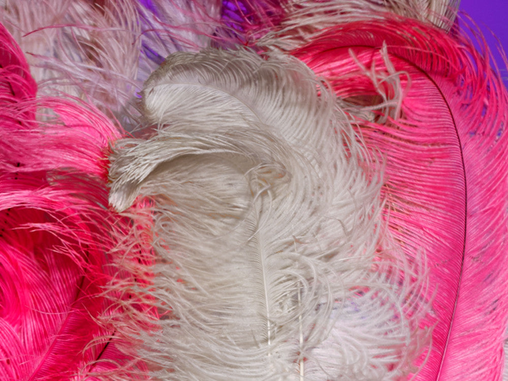 1/2 Lb. - 25-29" Hot Pink Large Ostrich Wing Plume Wholesale Feathers (Bulk) 