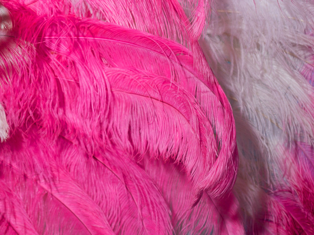 1/2 Lb. - 25-29" Hot Pink Large Ostrich Wing Plume Wholesale Feathers (Bulk) 