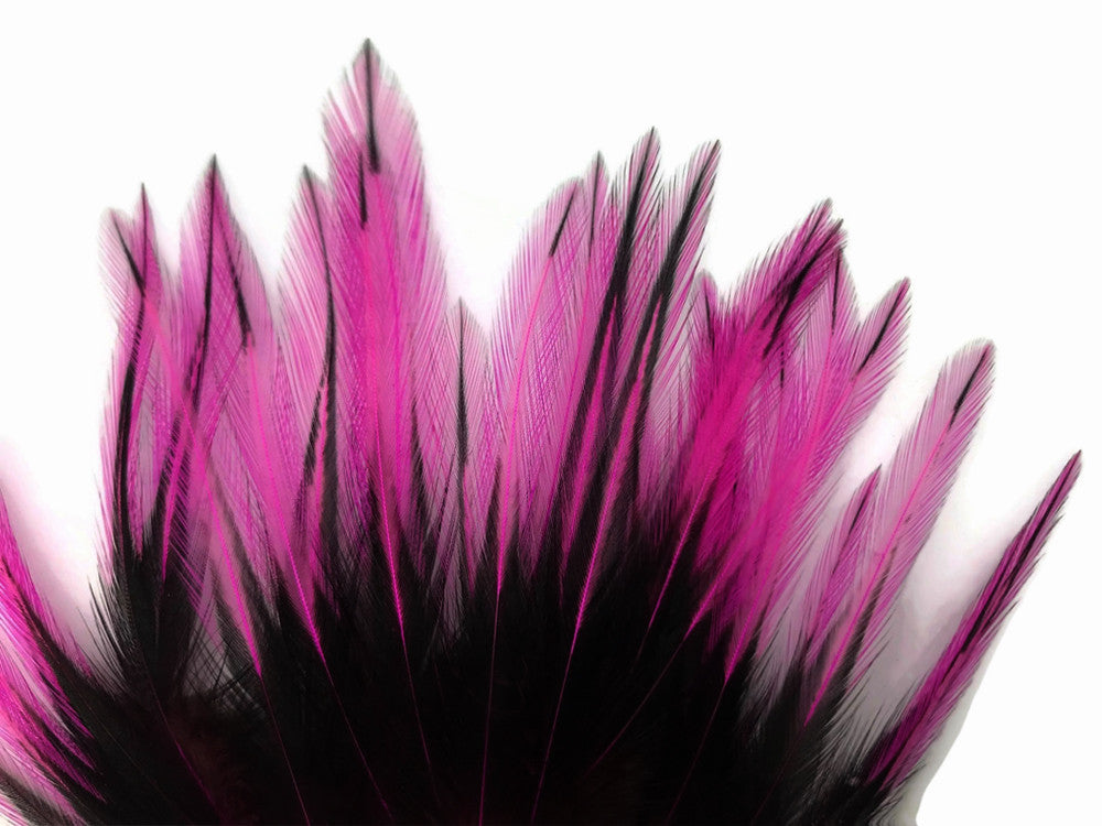 10 Pieces - Hot Pink Dyed BLW Laced Short Rooster Cape Whiting Farms Feathers