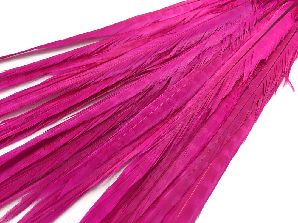 50 Pieces - 18-22" Hot Pink Bleached & Dyed Long Ringneck Pheasant Tail Wholesale Feathers (Bulk)