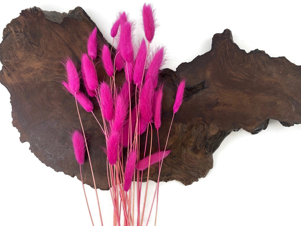 30 Pieces - 12-15" Hot Pink Bunny Tail Preserved Dried Botanical Grass Bouquet