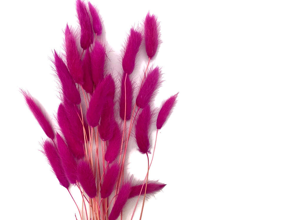 30 Pieces - 12-15" Hot Pink Bunny Tail Preserved Dried Botanical Grass Bouquet