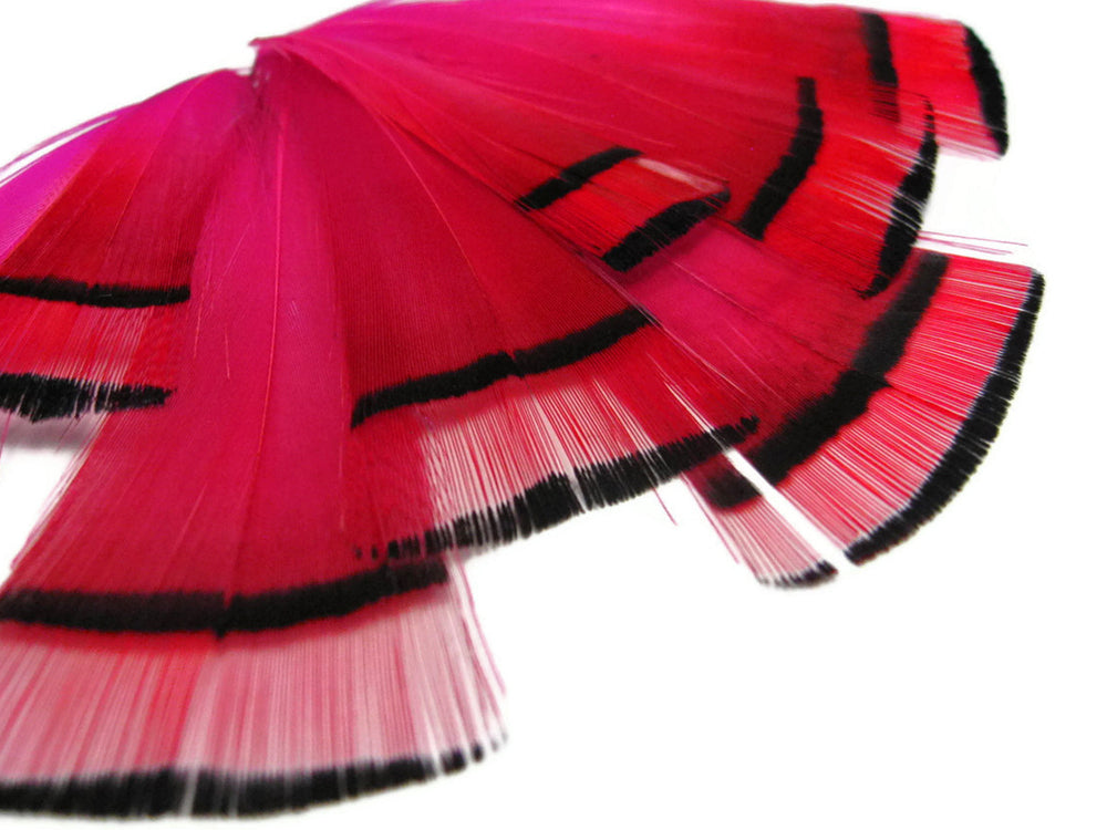 1 Dozen - Hot Pink Dyed Golden Pheasant Tippet Neck Plumage Feather