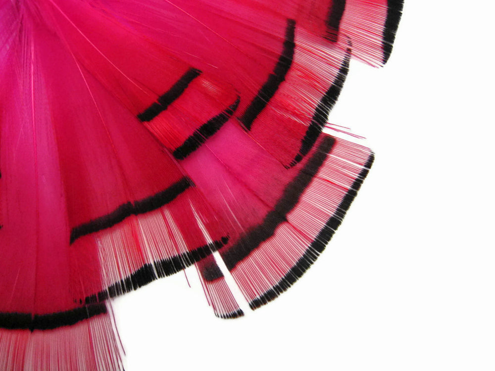 1 Dozen - Hot Pink Dyed Golden Pheasant Tippet Neck Plumage Feather