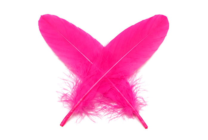 1 Pack - Hot Pink Goose Satinettes Pallet Soft Wing Quill Loose Feathers - 0.3 Oz