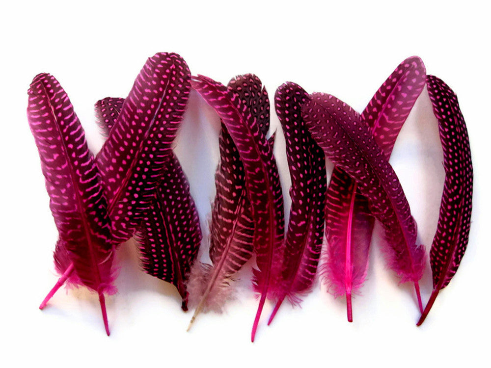 1/8 lb. Hot Pink Polka Dot Guinea Fowl Wing Quills Wholesale Feathers (Bulk)