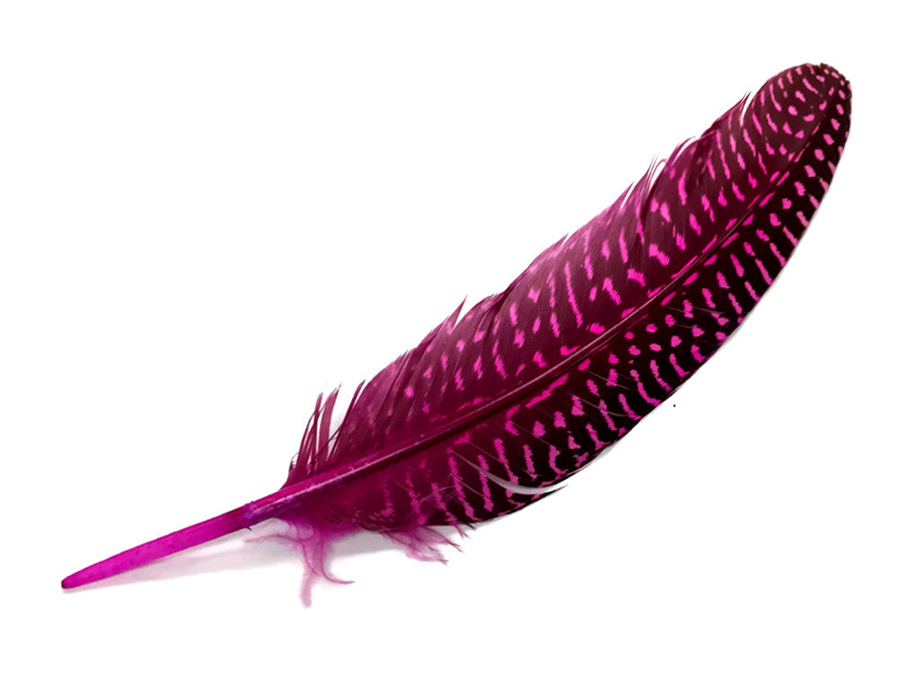 1/8 lb. Hot Pink Polka Dot Guinea Fowl Wing Quills Wholesale Feathers (Bulk)