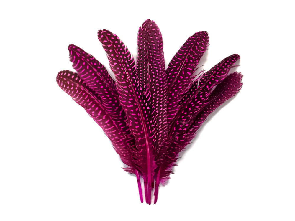 10 Pieces - Dyed Hot Pink Polka Dot Guinea Fowl Wing Quill Feathers