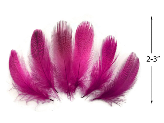 1 Pack - Hot Pink Mallard Duck Flank Feathers 0.10 Oz.