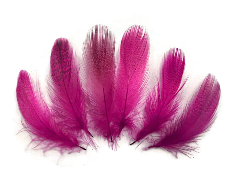 1 Pack - Hot Pink Mallard Duck Flank Feathers 0.10 Oz.