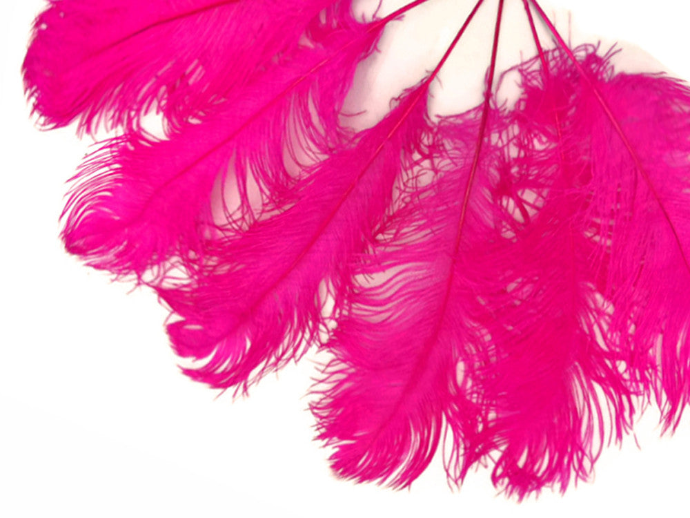 10 Pieces -  12-16" Hot Pink Dyed Ostrich Tail Fancy Feathers