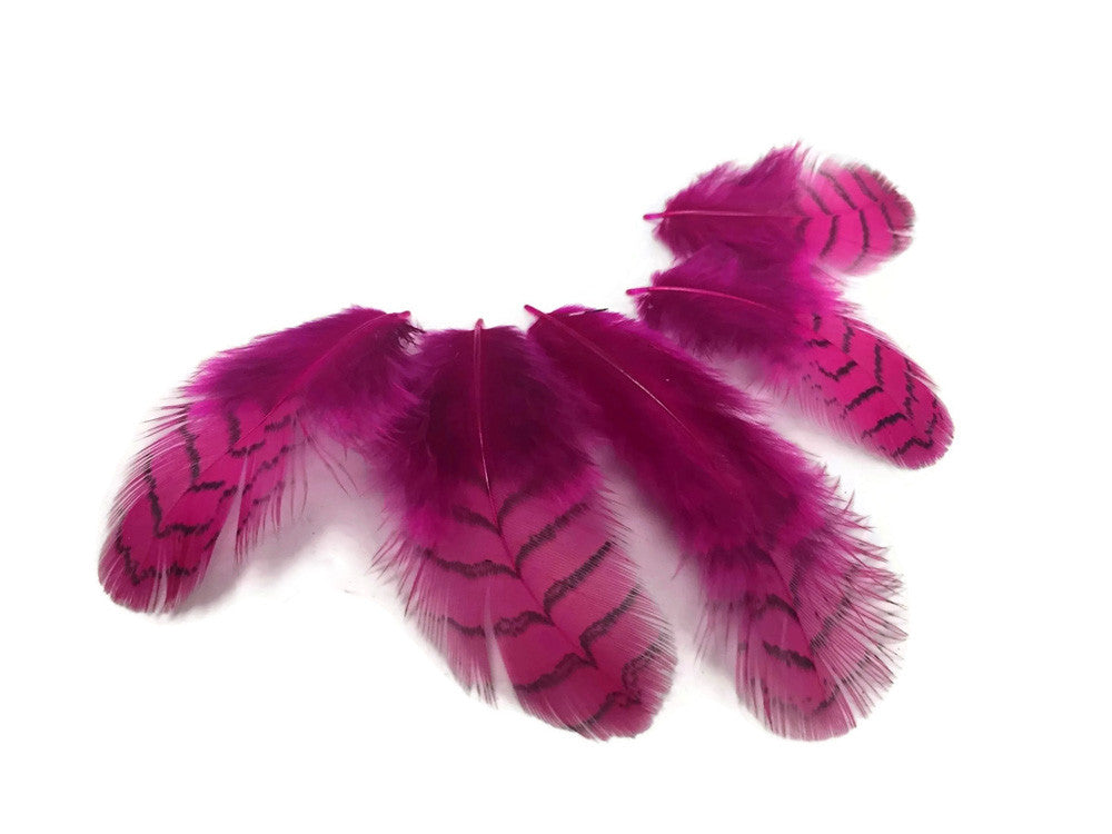 10 Pieces - Hot Pink Dyed Gray Partridge Small Plumage Feathers