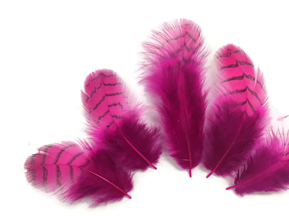 10 Pieces - Hot Pink Dyed Gray Partridge Small Plumage Feathers