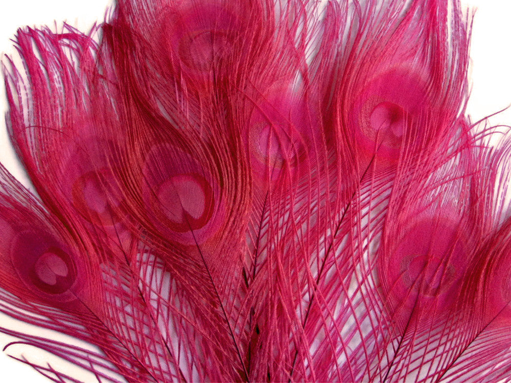 5 Pieces – Hot Pink Bleached & Dyed Peacock Tail Eye Feathers 10-12” Long 