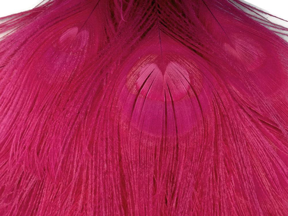 5 Pieces – Hot Pink Bleached & Dyed Peacock Tail Eye Feathers 10-12” Long 