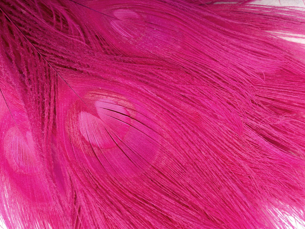 5 Pieces – Hot Pink Bleached & Dyed Peacock Tail Eye Feathers 10-12” Long 