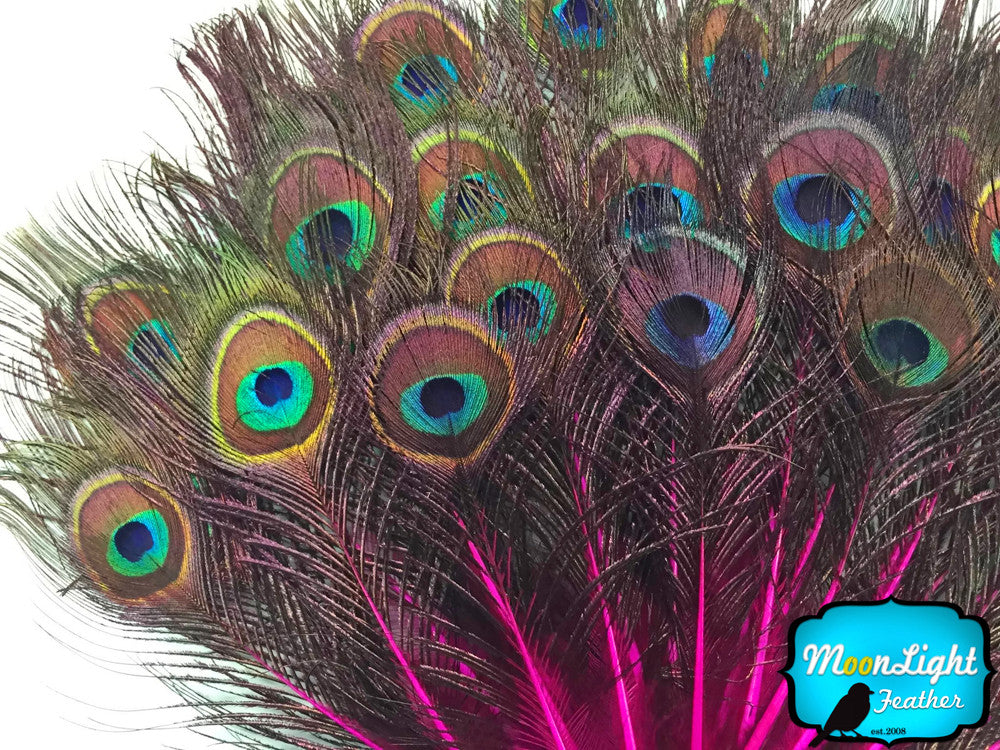 10 Pieces - Hot Pink Mini Natural Peacock Tail Body Feathers With Eyes