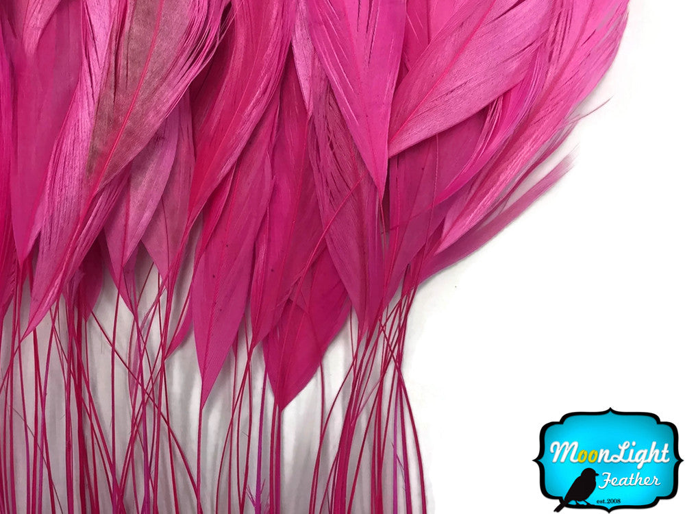 1 Dozen - Hot Pink Stripped Rooster Coque Tail Feathers