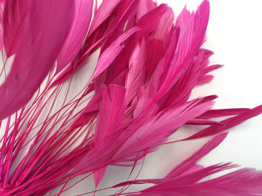 1 Dozen - Hot Pink Stripped Rooster Coque Tail Feathers