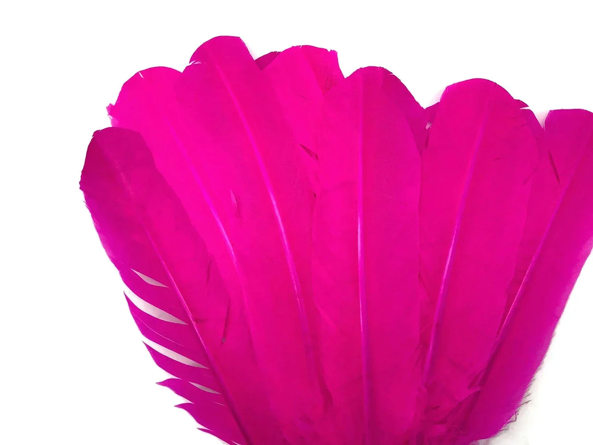 Vibrant bright pink feathers arranged in a fan shape for DIY crafts and fashion decor.