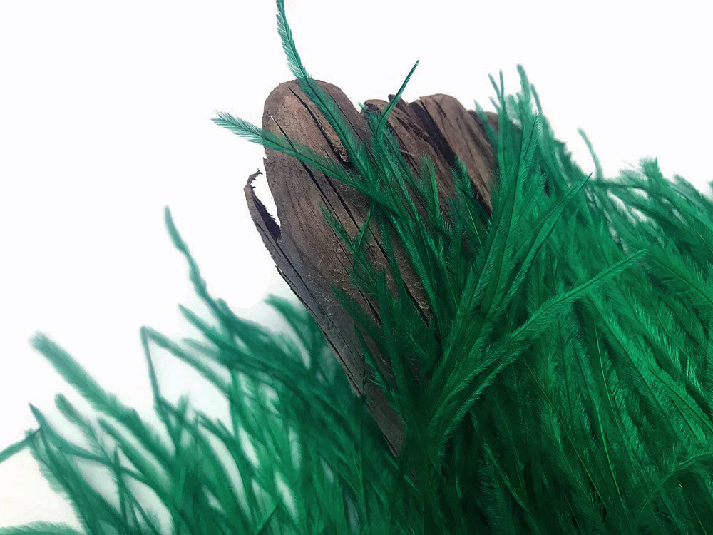 6 Inch Strip - Hunter Green Ostrich Fringe Trim Feather