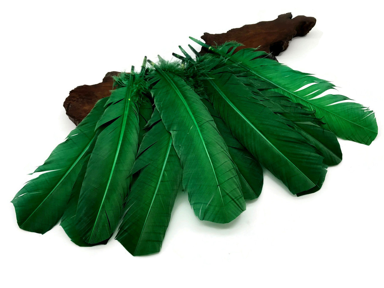 6 Pieces - Hunter Green Turkey Rounds Secondary Wing Quill Feathers