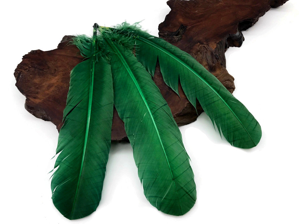 1/4 Lb - Hunter Green Turkey Tom Rounds Secondary Wing Quill Wholesale Feathers (Bulk)