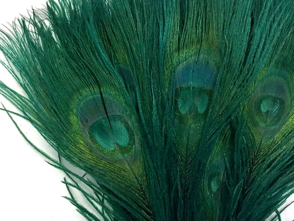 5 Pieces – Hunter Green Bleached & Dyed Peacock Tail Eye Feathers 10-12” Long