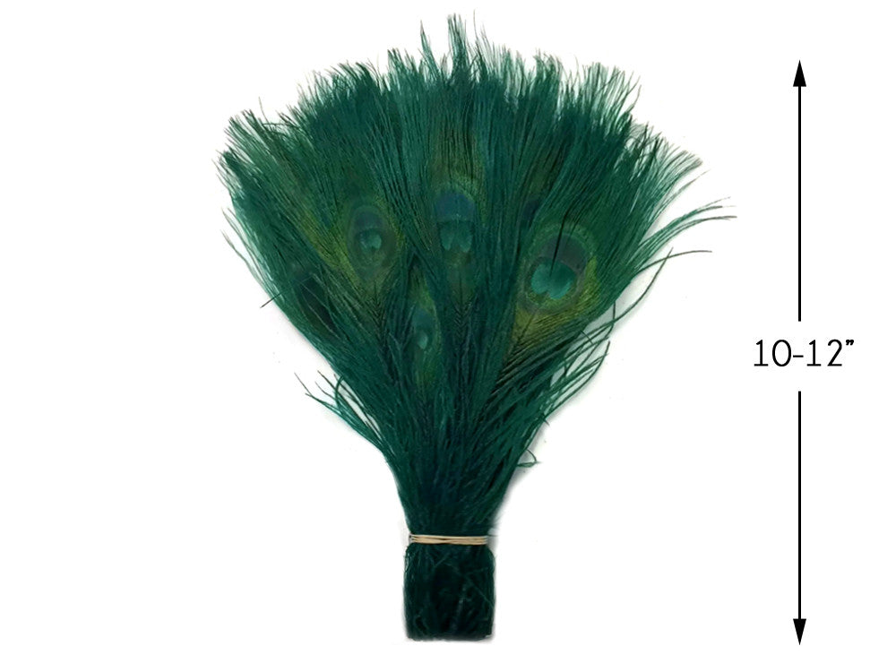 5 Pieces – Hunter Green Bleached & Dyed Peacock Tail Eye Feathers 10-12” Long