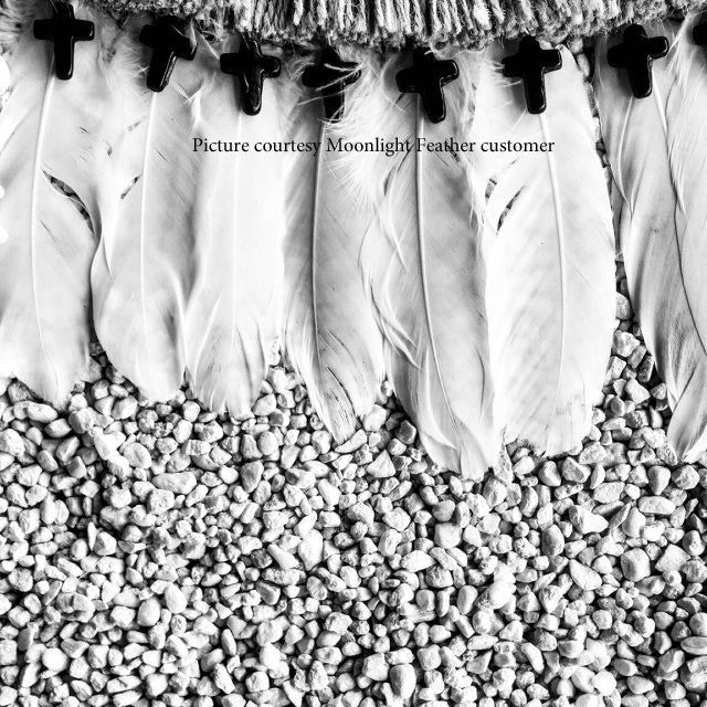 1 Yard - Bleached Snow White Goose Pallet Parried Feather Trim