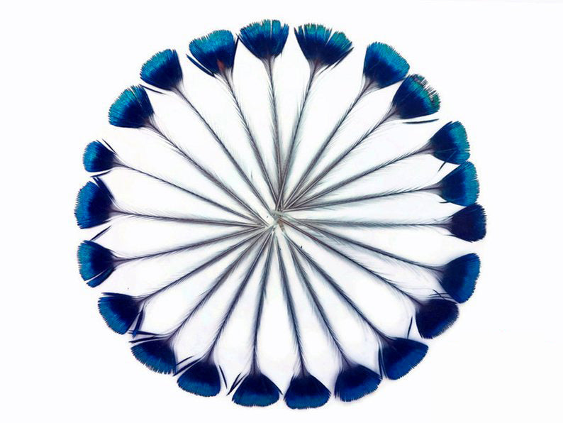 10 Pieces - Blue Iridescent Peacock Crown / Corona / Crest Loose Feathers