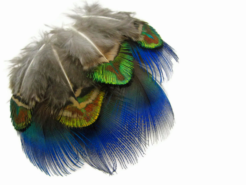 20 Pieces - Mix Iridescent Blue, Green & Gold Peacock Plumage Loose Feathers
