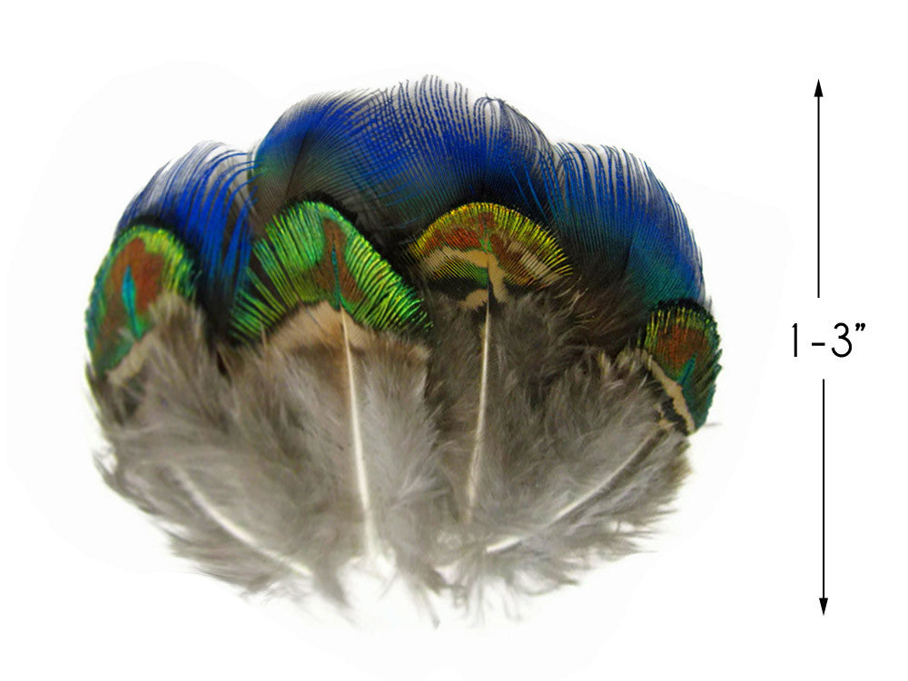 20 Pieces - Mix Iridescent Blue, Green & Gold Peacock Plumage Loose Feathers