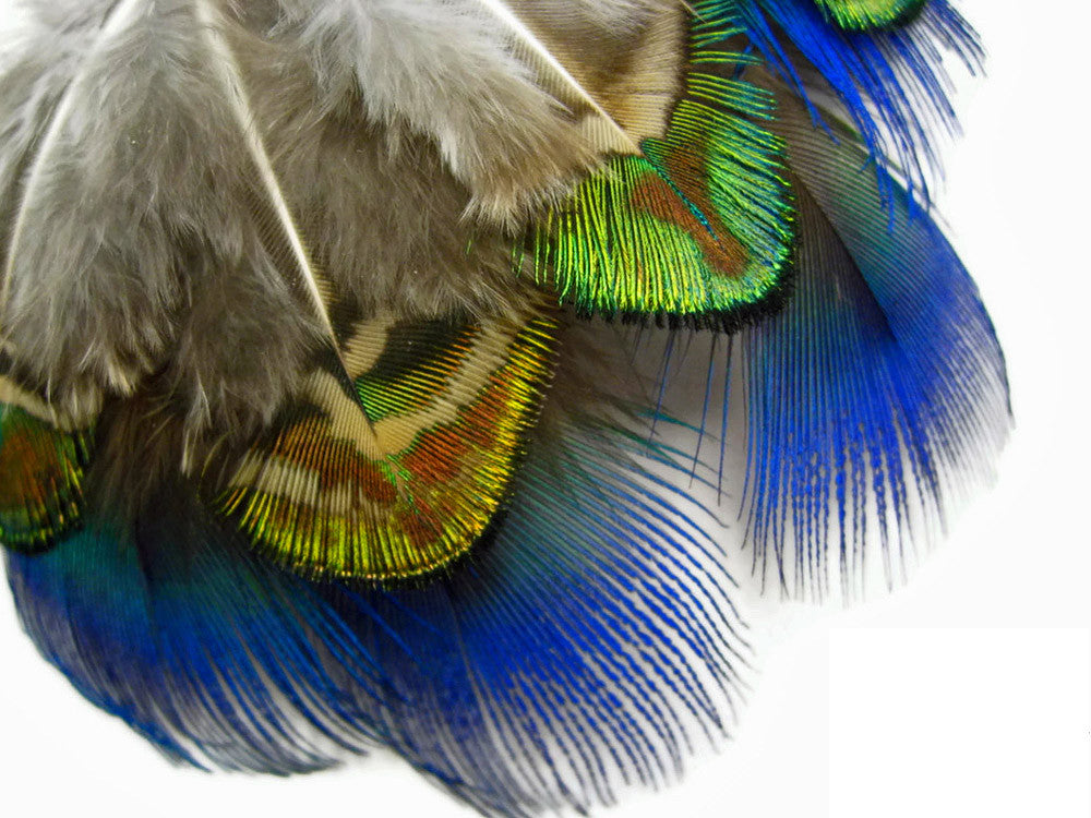 20 Pieces - Mix Iridescent Blue, Green & Gold Peacock Plumage Loose Feathers