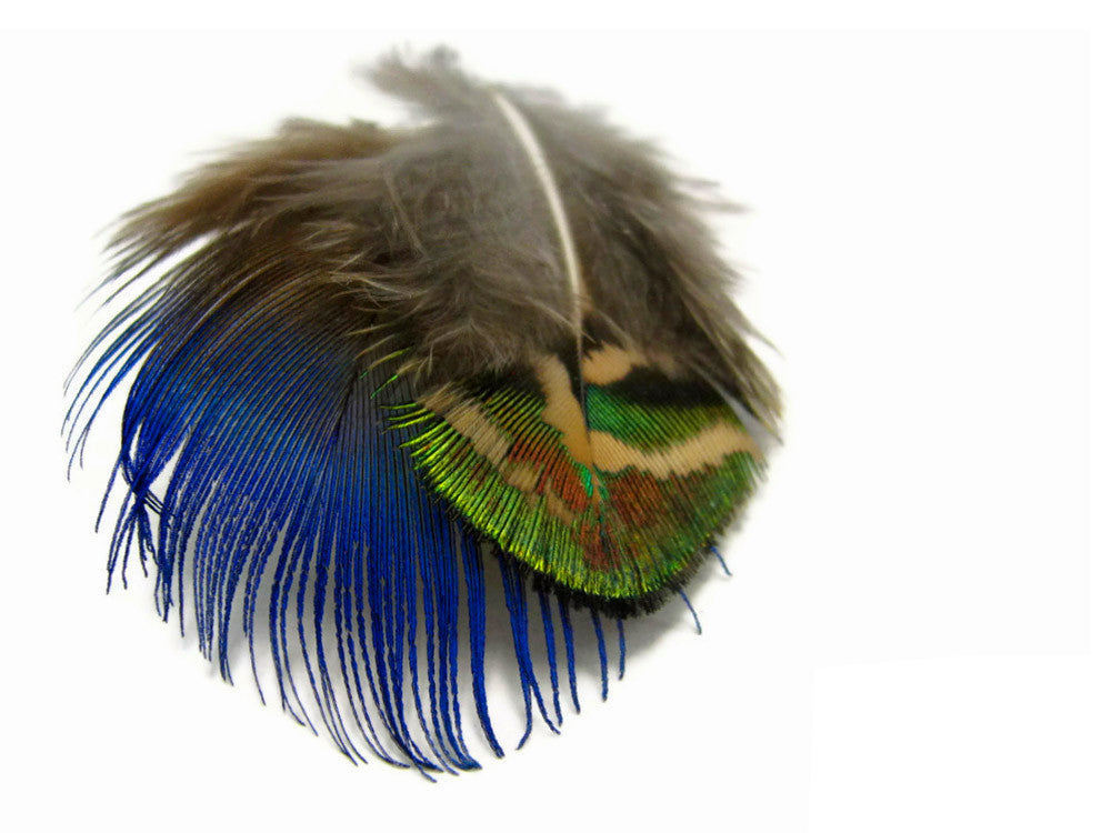 20 Pieces - Mix Iridescent Blue, Green & Gold Peacock Plumage Loose Feathers