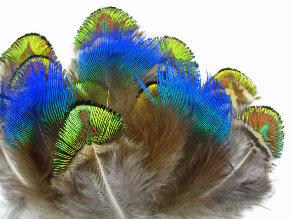 20 Pieces - Mix Iridescent Blue, Green & Gold Peacock Plumage Loose Feathers