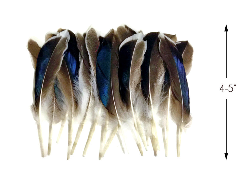 1/4 Lb. - Iridescent Blue Mix Mallard Duck Wing Wholesale Feathers (Bulk)