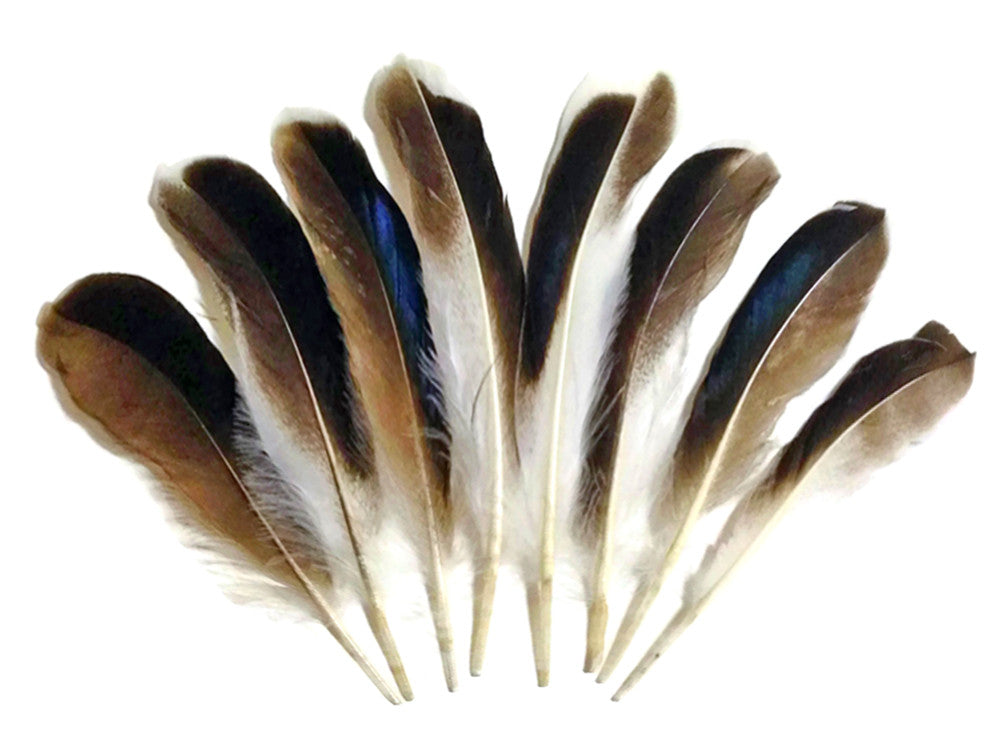 1 Pack - Iridescent Blue Mix Mallard Duck Wing Feathers 0.15 Oz.