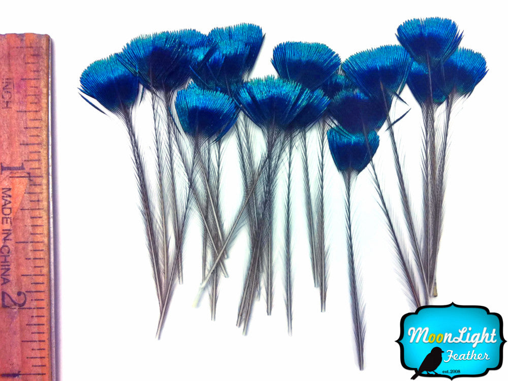 10 Pieces - Blue Iridescent Peacock Crown / Corona / Crest Loose Feathers