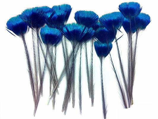 10 Pieces - Blue Iridescent Peacock Crown / Corona / Crest Loose Feathers