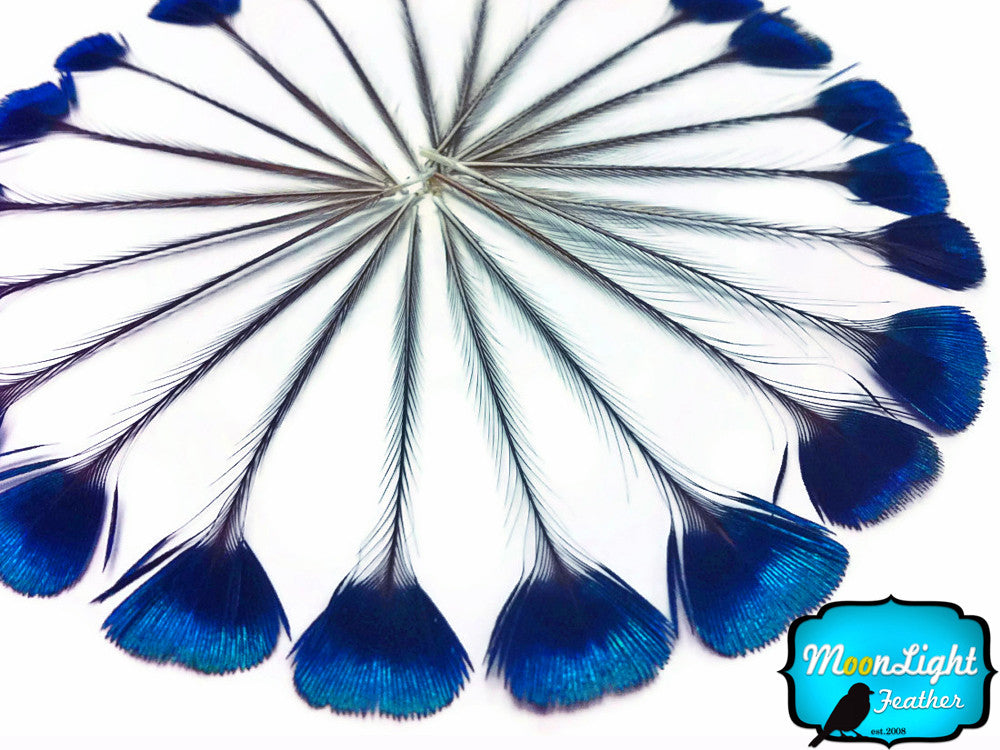 10 Pieces - Blue Iridescent Peacock Crown / Corona / Crest Loose Feathers