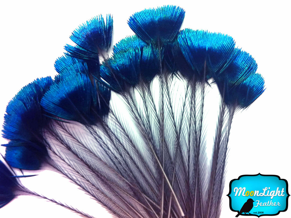 10 Pieces - Blue Iridescent Peacock Crown / Corona / Crest Loose Feathers