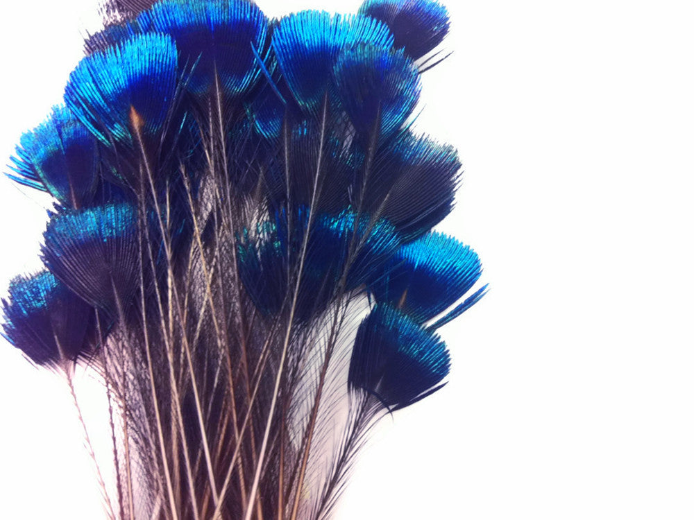 10 Pieces - Blue Iridescent Peacock Crown / Corona / Crest Loose Feathers