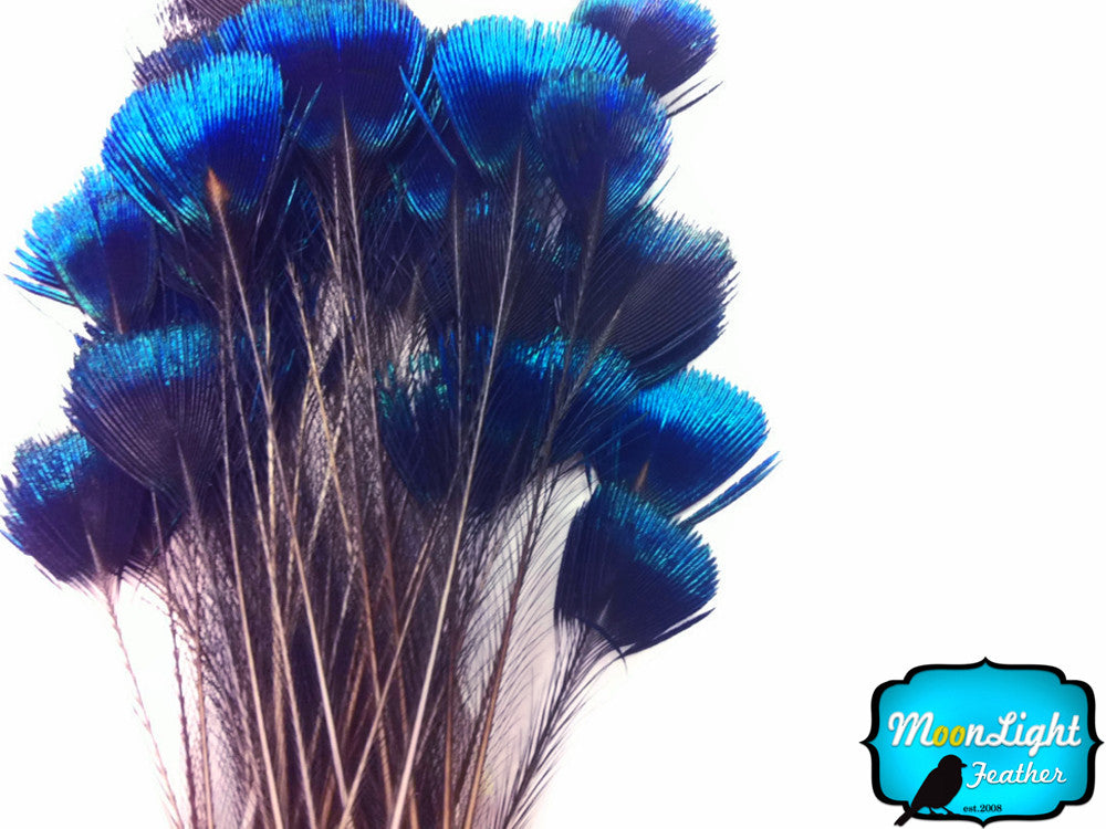 1 Bunch - Blue Iridescent Peacock Whole Crown / Corona Feather