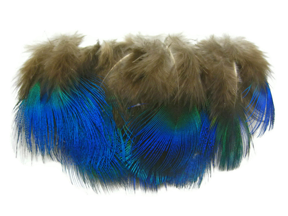 10 Pieces - Iridescent Blue Peacock Body Plumage Feathers