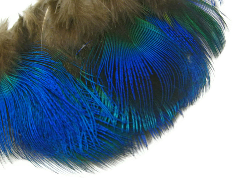 10 Pieces - Iridescent Blue Peacock Body Plumage Feathers