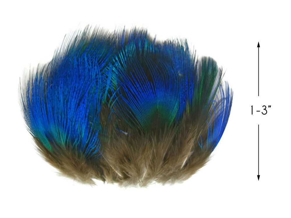 10 Pieces - Iridescent Blue Peacock Body Plumage Feathers