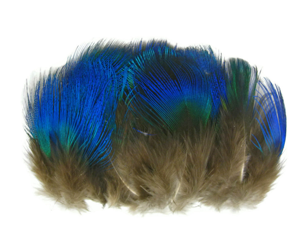 10 Pieces - Iridescent Blue Peacock Body Plumage Feathers