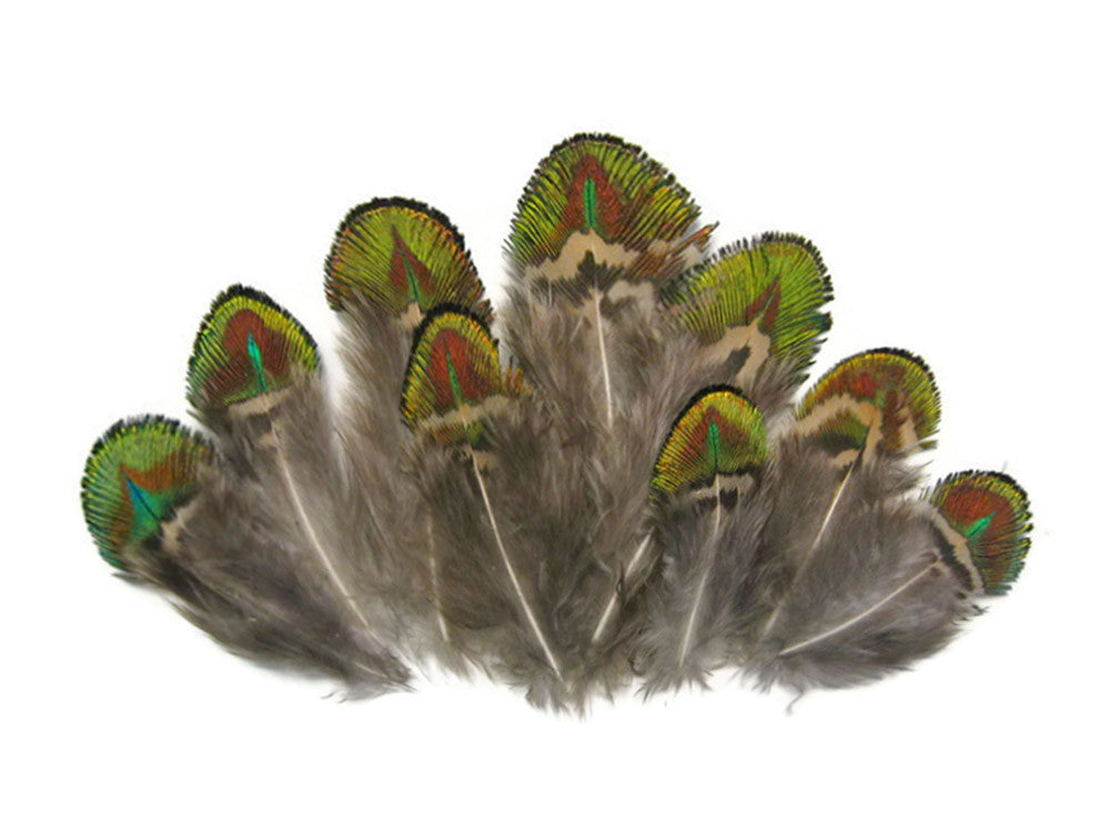 10 Pieces - Iridescent Green Gold Peacock Plumage Loose Feather