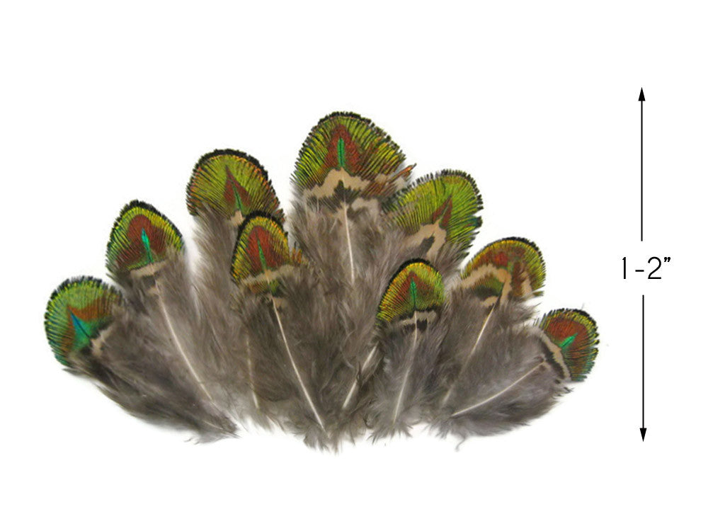 10 Pieces - Iridescent Green Gold Peacock Plumage Loose Feather